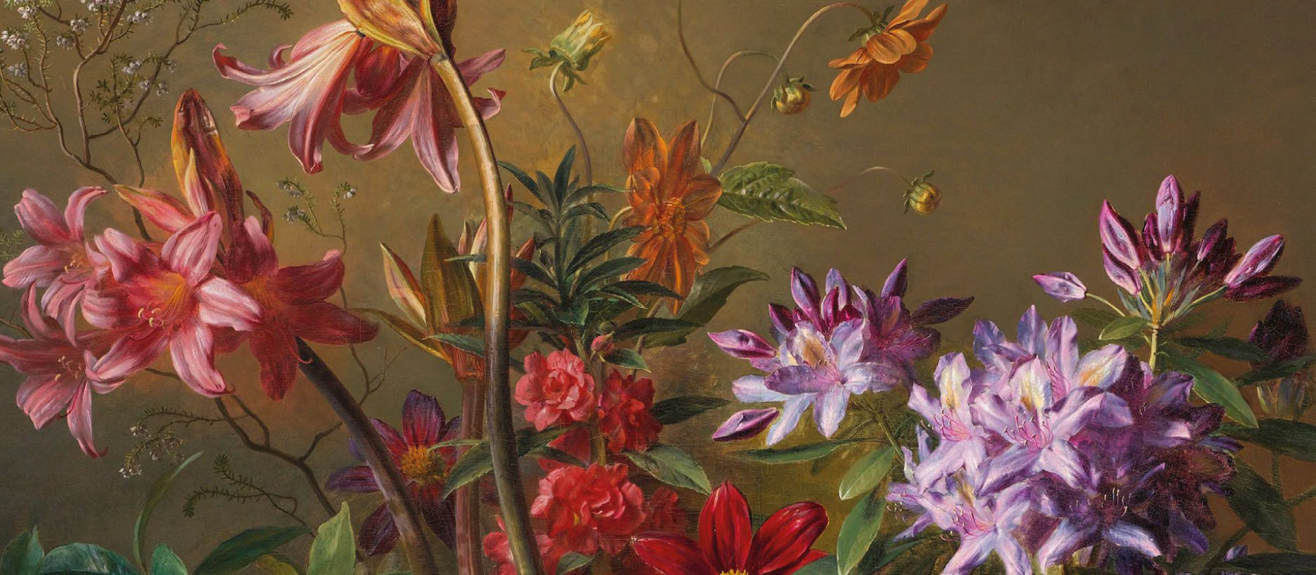 banner-header-flora_1920x840